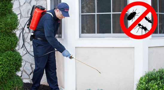 Gölbaşı Gümüşkurt İlaçlama böcek ilaçlama ve haşere kontrolü — ilaclama-tr.com
